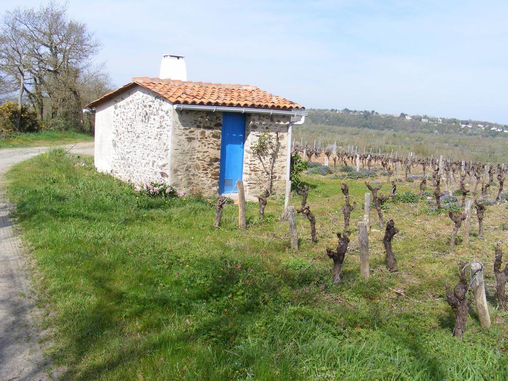 Chambres D'Hotes Vignes Et Loire Drain Bilik gambar