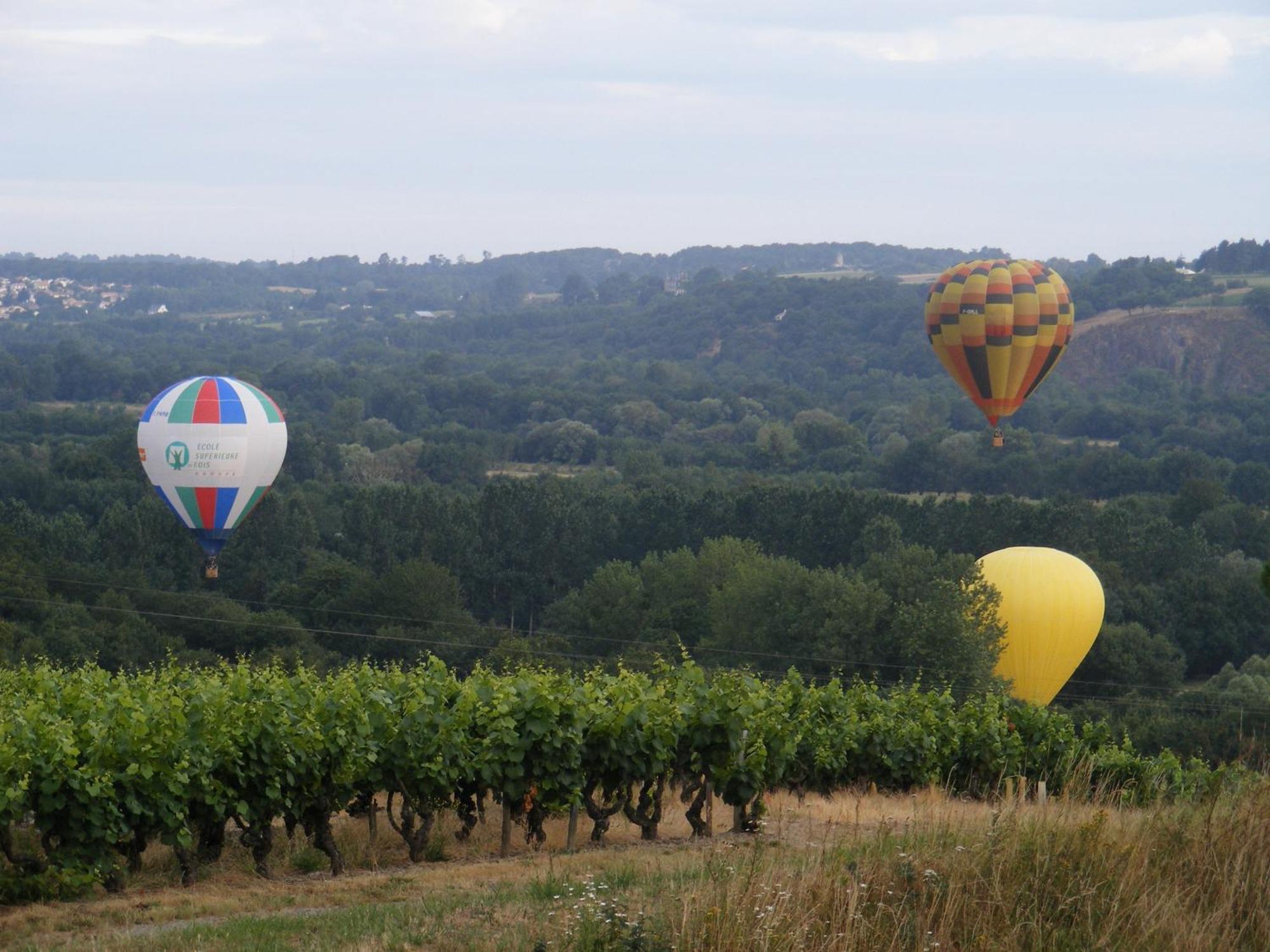 Chambres D'Hotes Vignes Et Loire Drain Luaran gambar