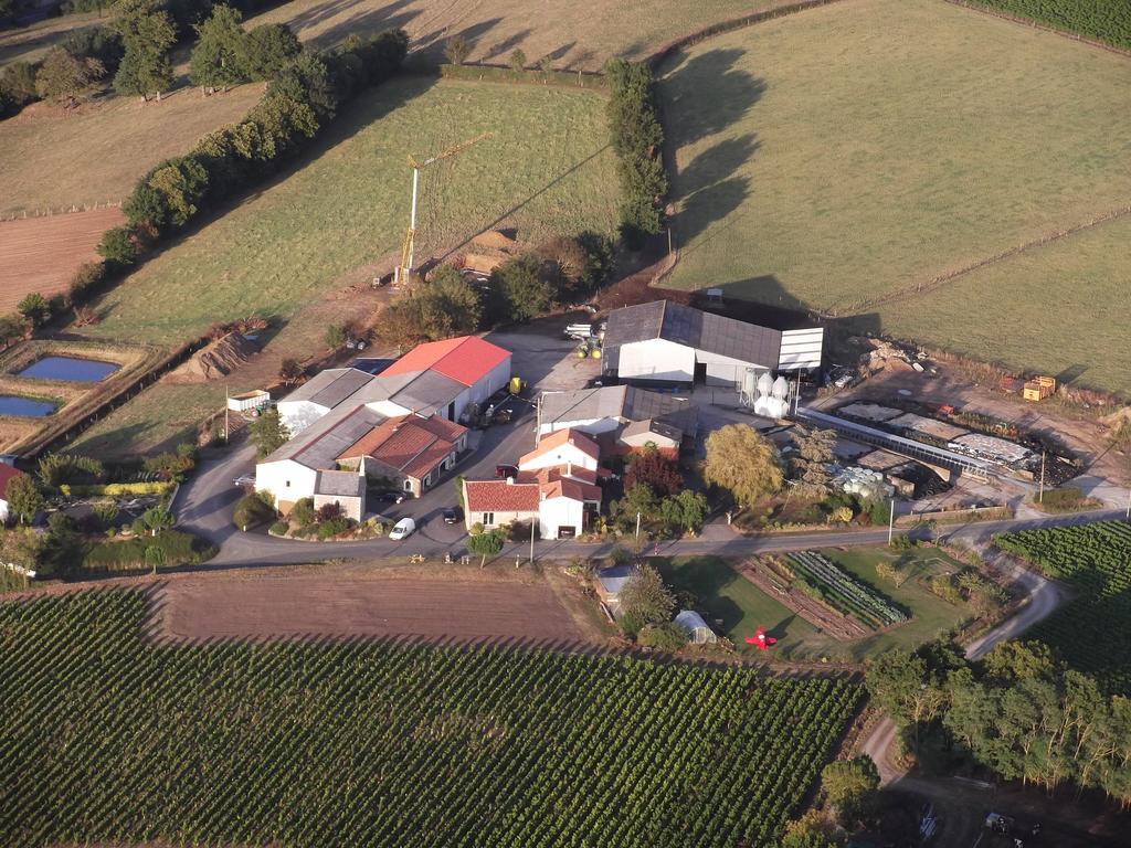 Chambres D'Hotes Vignes Et Loire Drain Luaran gambar